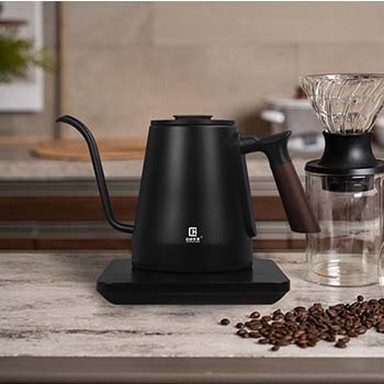 Electric Kettle With Temperature Control Gooseneck Kettle