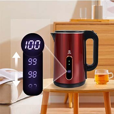 Electric Kettle With Temperature Display